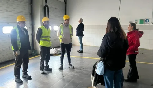 Doğuş Oto